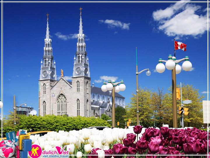 Du lịch Canada Lễ hội Hoa Tulip 8 ngày khởi từ Sài Gòn giá tốt 2025